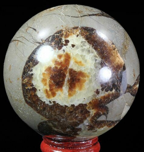 Polished Septarian Sphere - Madagascar #67862